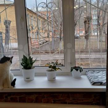 Продается 1-комнатная квартира, 36 м²