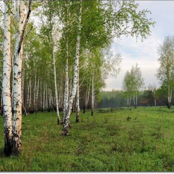 Продается Участок, 10000 м²