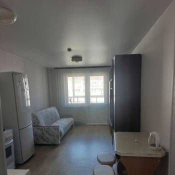 Сдается 1-комнатная квартира, 25,5 м²