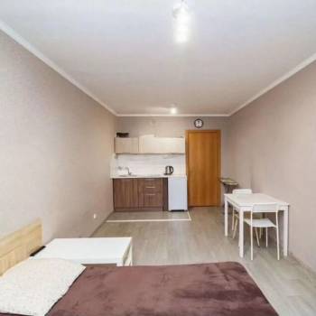 Сдается 1-комнатная квартира, 27,2 м²