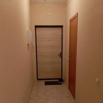 Сдается 1-комнатная квартира, 20,2 м²
