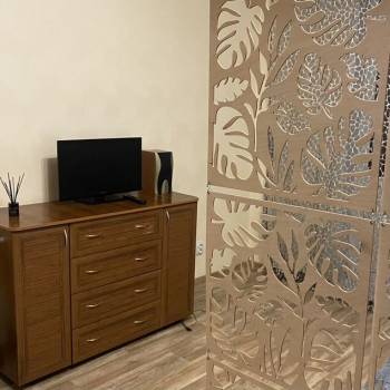 Сдается 1-комнатная квартира, 27,3 м²