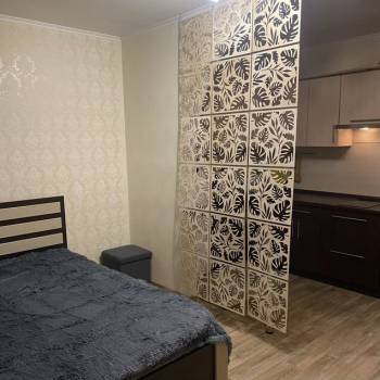 Сдается 1-комнатная квартира, 27,3 м²