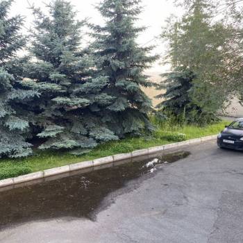 Продается Нежилое помещение, 55 м²