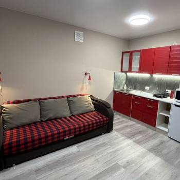 Сдается 1-комнатная квартира, 26,7 м²