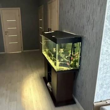 Сдается Многокомнатная квартира, 78 м²