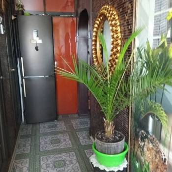 Сдается 1-комнатная квартира, 33,2 м²
