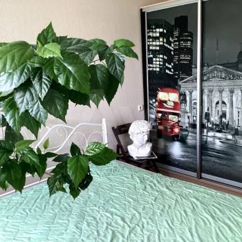 Сдается 2-х комнатная квартира, 54 м²