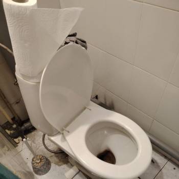 Сдается 1-комнатная квартира, 16,6 м²