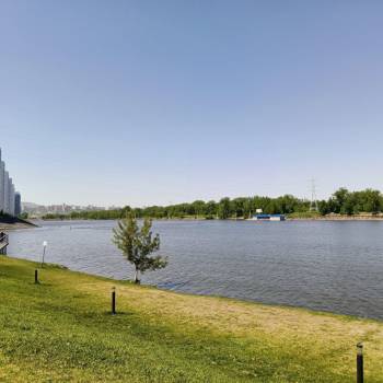 Сдается 1-комнатная квартира, 40,5 м²