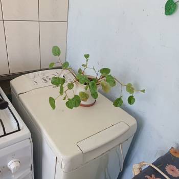 Сдается Комната, 10 м²