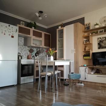 Продается 1-комнатная квартира, 26,8 м²
