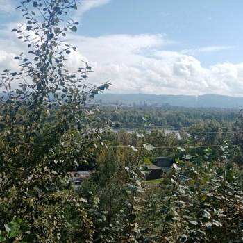 Сдается 1-комнатная квартира, 30,3 м²