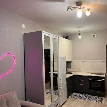 Сдается 1-комнатная квартира, 23,8 м²