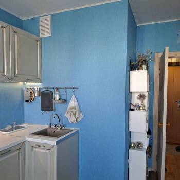 Продается 1-комнатная квартира, 24,1 м²