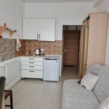 Сдается 1-комнатная квартира, 18,1 м²