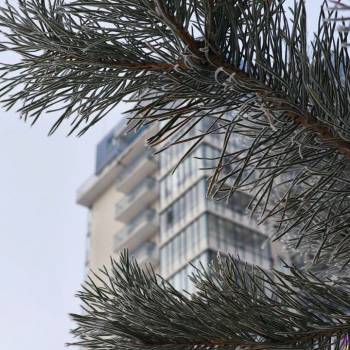 Сдается 2-х комнатная квартира, 62 м²