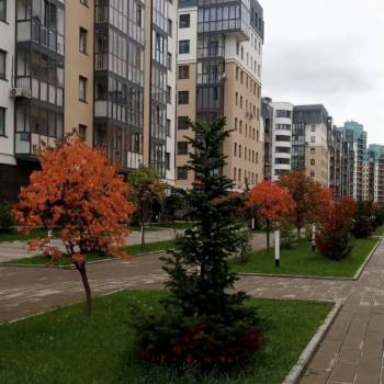 Сдается 2-х комнатная квартира, 46,2 м²
