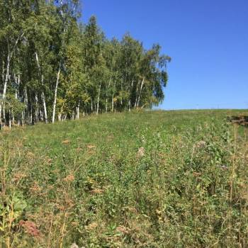 Продается Участок, 1000 м²