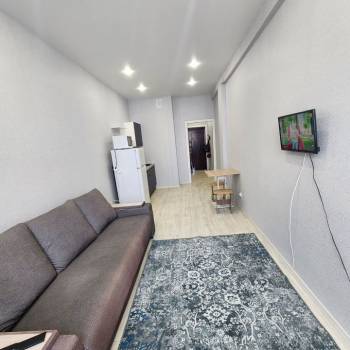 Сдается 1-комнатная квартира, 27 м²