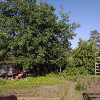 Продается Участок, 1550 м²