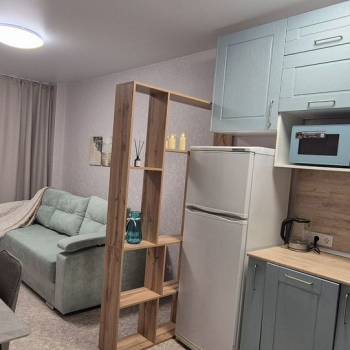 Сдается 1-комнатная квартира, 29,3 м²