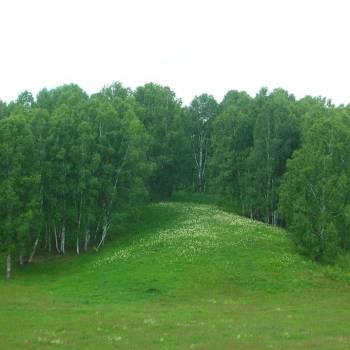 Продается Участок, 1000 м²