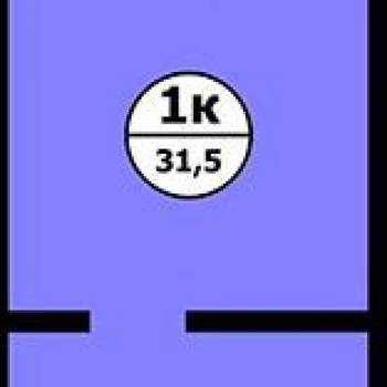 Продается 1-комнатная квартира, 30,3 м²