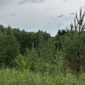 Продается Участок, 1100 м²