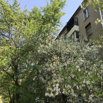 Продается 2-х комнатная квартира, 56 м²