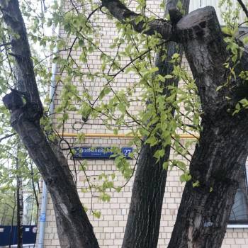 Продается 2-х комнатная квартира, 56 м²