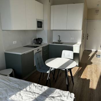 Сдается 1-комнатная квартира, 21,9 м²