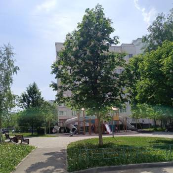 Сдается 2-х комнатная квартира, 57 м²