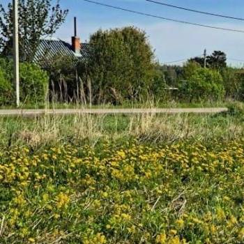 Продается Участок, 600 м²
