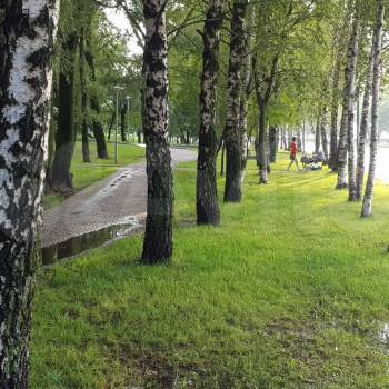 Сдается 2-х комнатная квартира, 43 м²