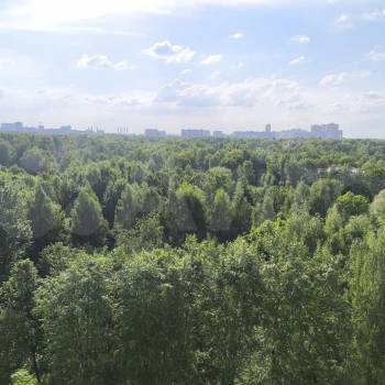 Сдается 2-х комнатная квартира, 50,6 м²