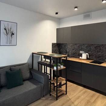Сдается 1-комнатная квартира, 19,6 м²