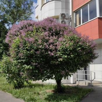 Сдается 2-х комнатная квартира, 51,9 м²