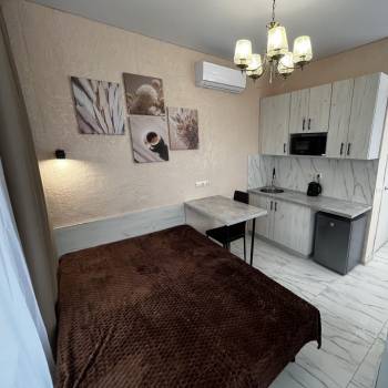 Сдается 1-комнатная квартира, 25 м²