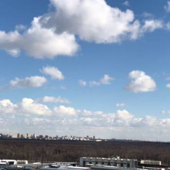 Сдается 1-комнатная квартира, 43 м²