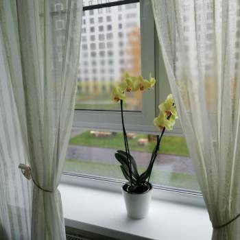 Сдается 1-комнатная квартира, 43 м²