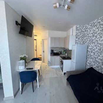 Продается 1-комнатная квартира, 26,8 м²