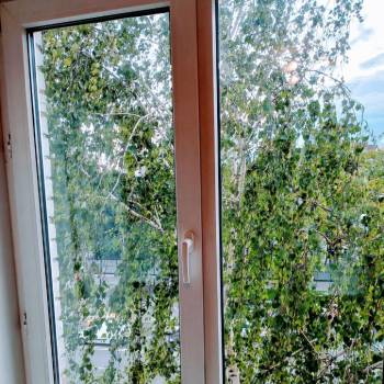Сдается 1-комнатная квартира, 15 м²
