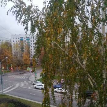 Сдается 1-комнатная квартира, 15 м²
