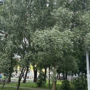 Продается 1-комнатная квартира, 39 м²