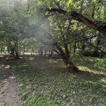 Продается Участок, 850 м²