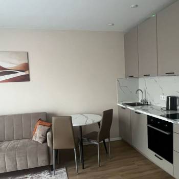 Сдается 1-комнатная квартира, 25,3 м²