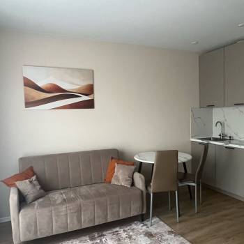 Сдается 1-комнатная квартира, 25,3 м²