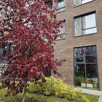 Продается 3-х комнатная квартира, 107 м²