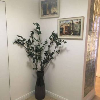 Сдается 1-комнатная квартира, 38 м²